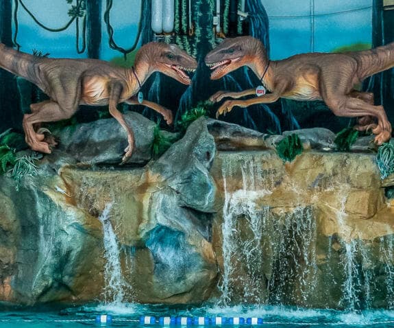 Raptor mascots by raptor reef wave pool