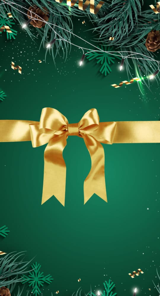 A gold ribbon tied in a bow is centered on a green background, bordered by pine branches, pinecones, and glittering lights. The scene brings to mind the festive spirit one might find when visiting an indoor water park during the holidays.